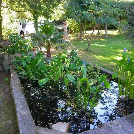 Navedas Santibanez de Villacarriedo