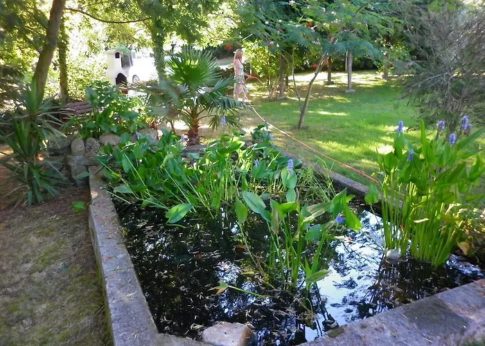 Navedas Santibanez de Villacarriedo